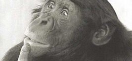 Why Changing Your Thinking Is The Crucial To Changing Your Life
