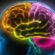 Brain Power: Your Brain and Its Emotions [Infographic]