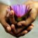 The Healing Power of Gratitude: Clutivating The Feel Good Factor The Healing Power of Gratitude: Clutivating The Feel Good Factor