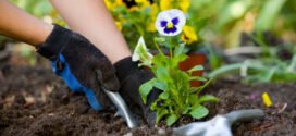How Gardening Can Help You Beat The Blues